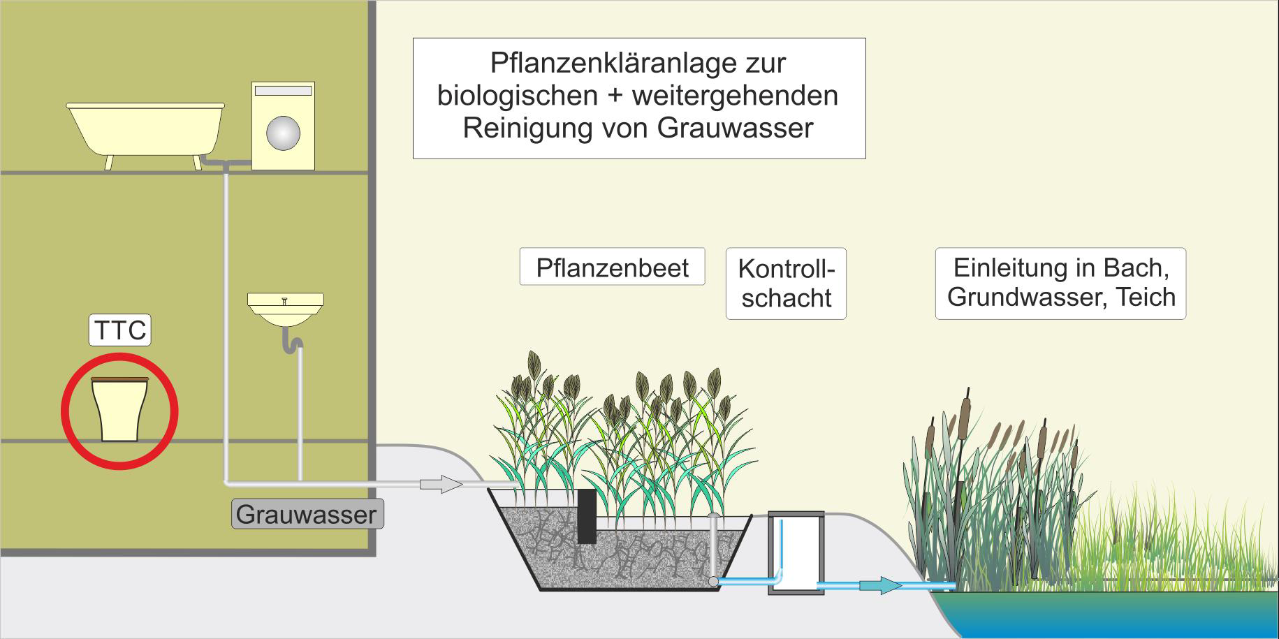 You are currently viewing Projekt Pflanzenkläranlage
